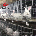 Outdoor Rabbit House for Sale and Layer Rabbit House Design